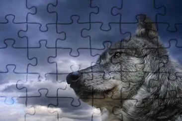 lobo jigsaw puzzle