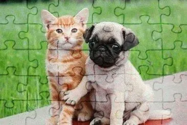 - gato-cachorro jigsaw puzzle