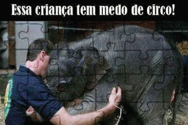 elefante jigsaw puzzle