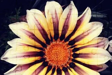 Nice Flower jigsaw puzzle