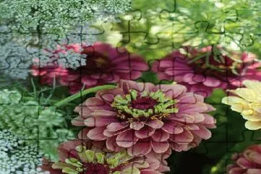 flores