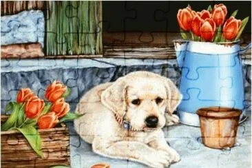 Pintura
