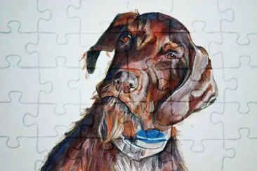 פאזל של perro sabio