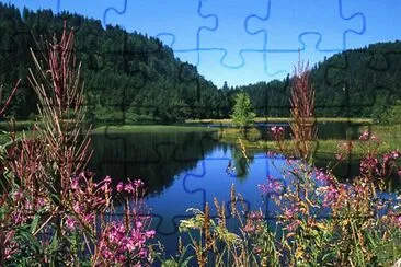 lac de lispach jigsaw puzzle