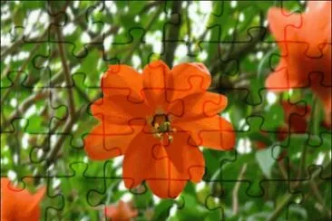 fleur jigsaw puzzle