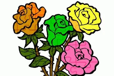 Flores
