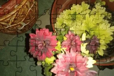 פאזל של flores