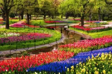 Camino Con Tulipanes. jigsaw puzzle