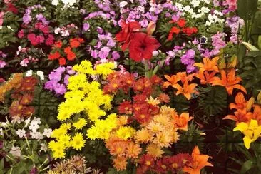 flores jigsaw puzzle