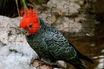. jigsaw puzzle