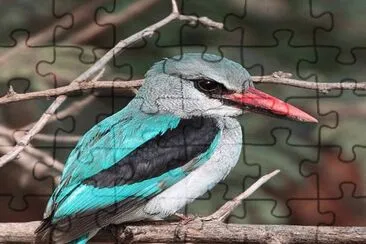 . jigsaw puzzle