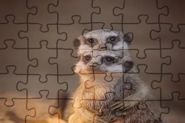 . jigsaw puzzle