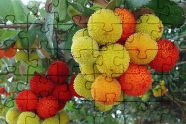 - flores de inexplicaveis beleza,(05) jigsaw puzzle