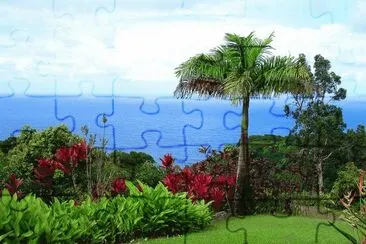 פאזל של MAUI HAWAY