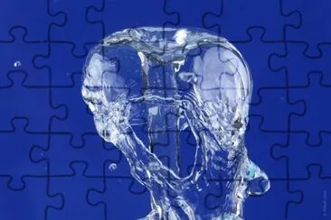 MARSU jigsaw puzzle