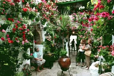פאזל של cordoba patio