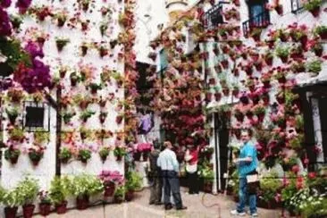 patio de sevilla jigsaw puzzle