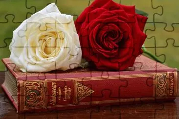 Rose and Book jigsaw puzzle