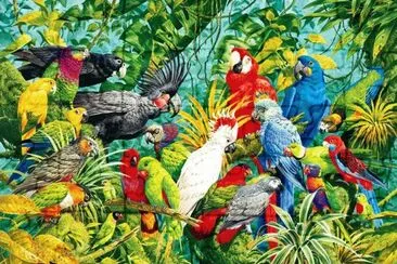 A lot of Birds jigsaw puzzle