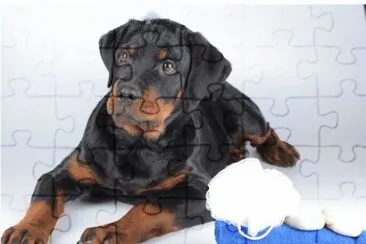 MARSU jigsaw puzzle