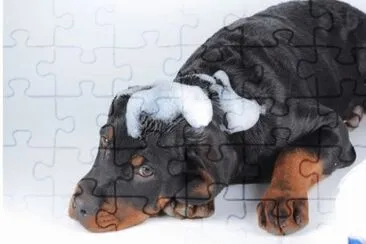 MARSU jigsaw puzzle