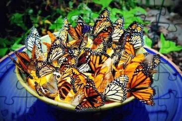 Butterfly Diner jigsaw puzzle