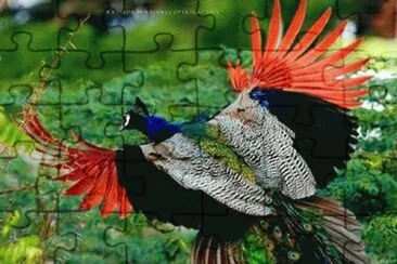 - ave jigsaw puzzle