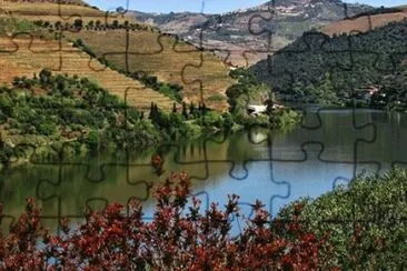- douro- portugal