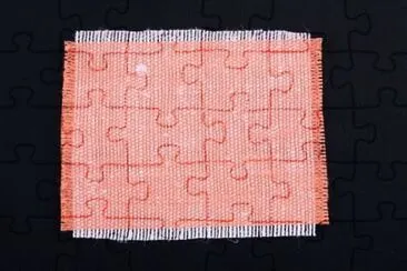 MARSU