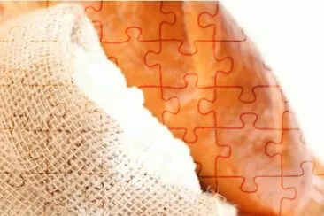MARSU jigsaw puzzle