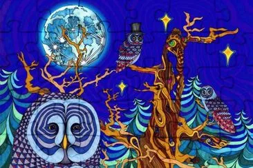 Owl meeting