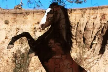 Horse jigsaw puzzle