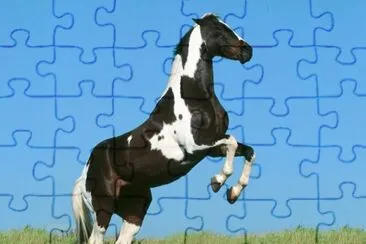 Horse jigsaw puzzle
