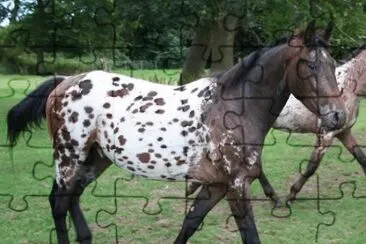 Horse jigsaw puzzle