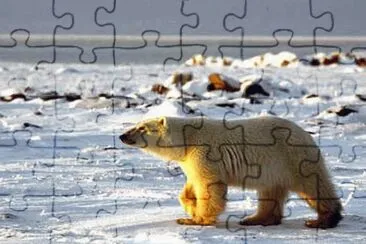 marsu jigsaw puzzle