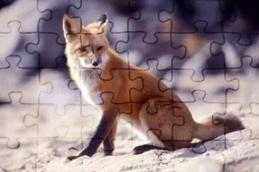 MARSU jigsaw puzzle