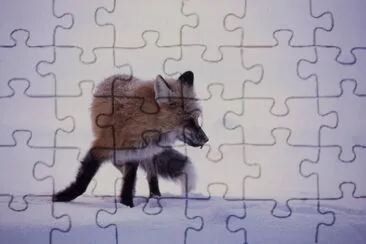 MARSU jigsaw puzzle