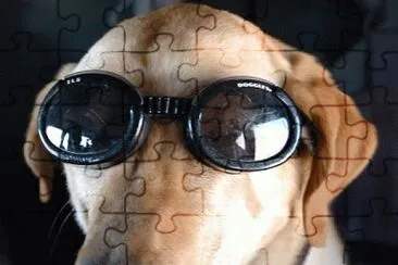 MARSU jigsaw puzzle