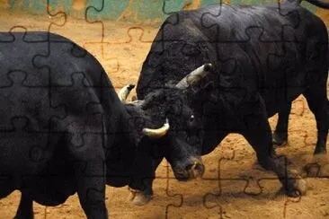 MARSU jigsaw puzzle