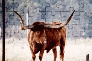 MARSU jigsaw puzzle