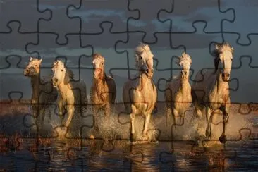 caballos jigsaw puzzle