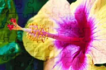 Flower Heart jigsaw puzzle