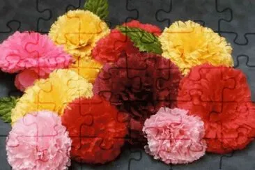 Beautiful Carnation jigsaw puzzle