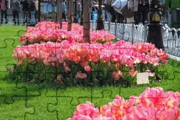 canteiros jigsaw puzzle