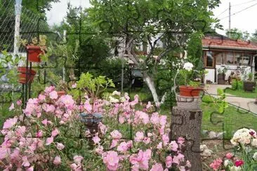 jardim