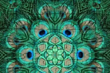 Peacock design  fractal jigsaw puzzle