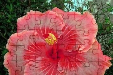 Orange Swirl  Taiwan jigsaw puzzle
