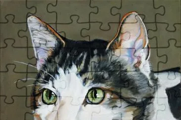 gato