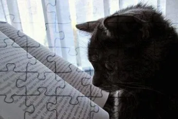 - gato,(6) jigsaw puzzle