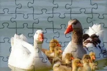 - patos jigsaw puzzle